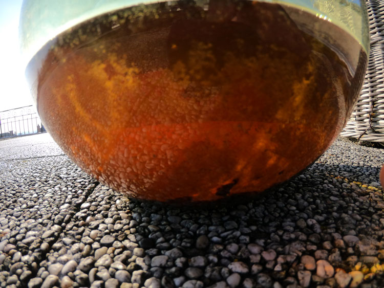 G0110054_1575522694466_small