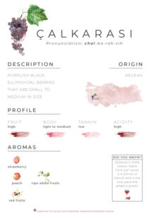 Calkarasi