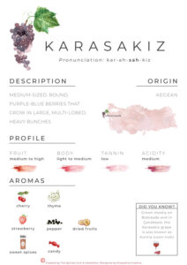 Karasakiz