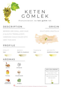 Keten-Gomlek