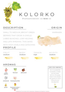 Kolorko