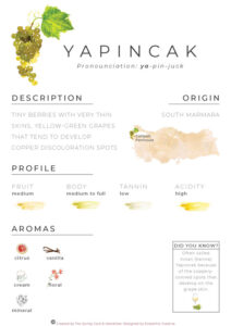 Yapincak